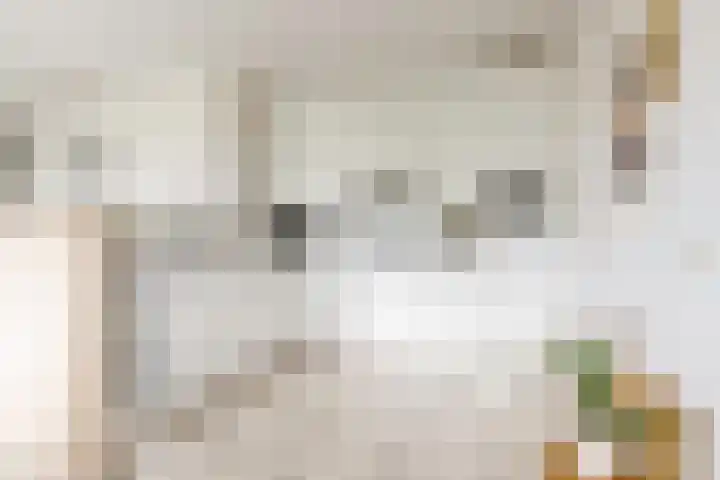 Ruitercamp 95 Houten thumbnail 18
