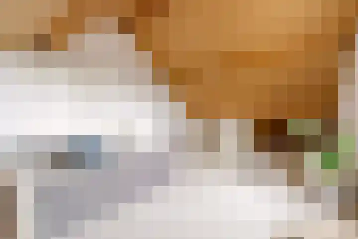 Ruitercamp 95 Houten thumbnail 30