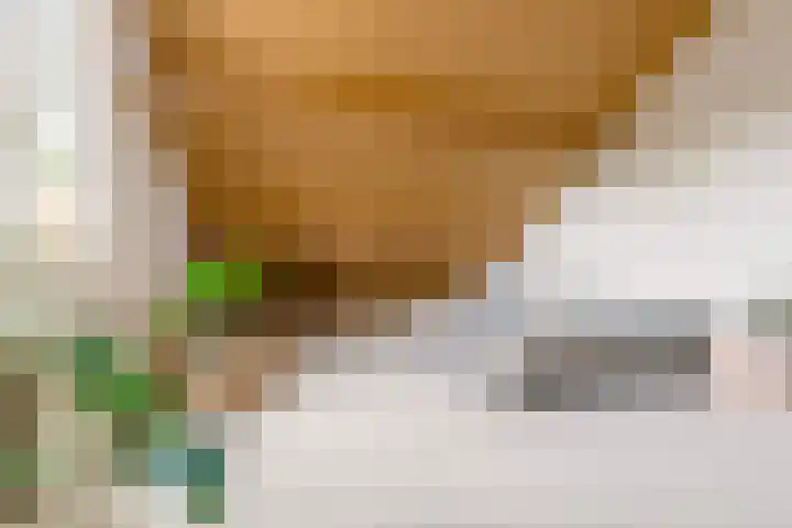 Ruitercamp 95 Houten thumbnail 31