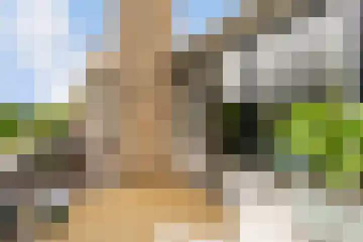 Ruitercamp 95 Houten thumbnail 34