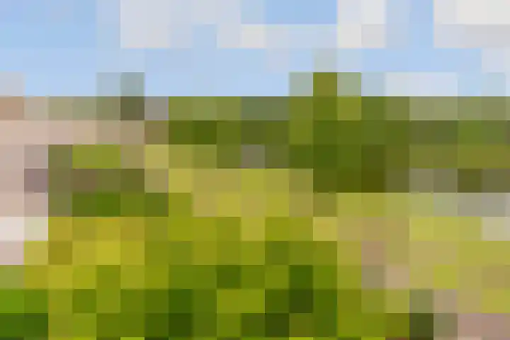 Ruitercamp 95 Houten thumbnail 37