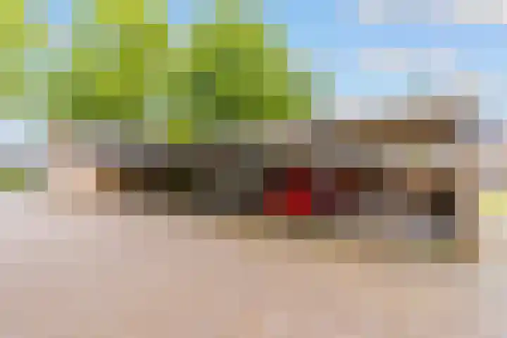 Ruitercamp 95 Houten thumbnail 38