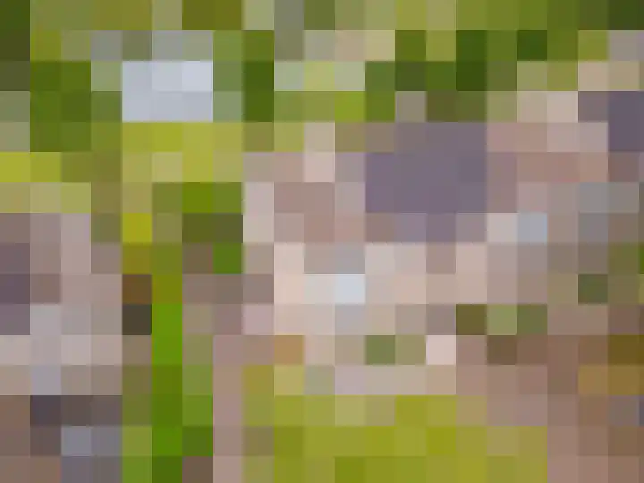 Ruitercamp 95 Houten thumbnail 4