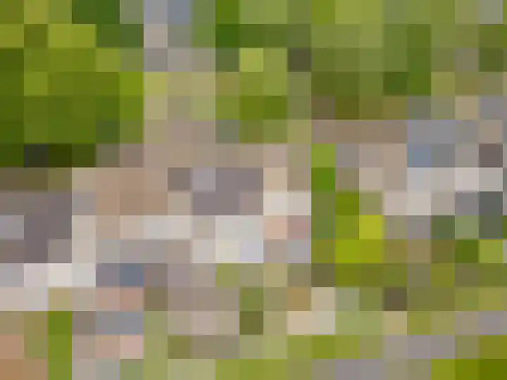 Ruitercamp 95 Houten thumbnail 42