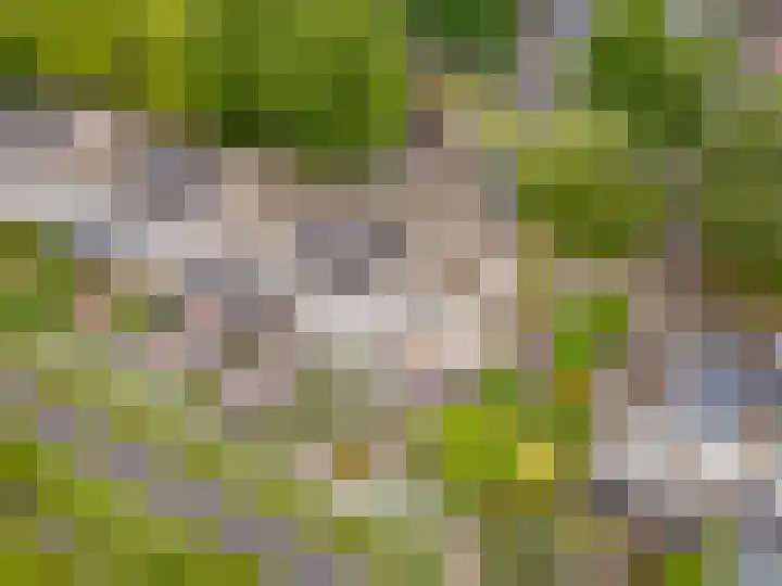 Ruitercamp 95 Houten thumbnail 43