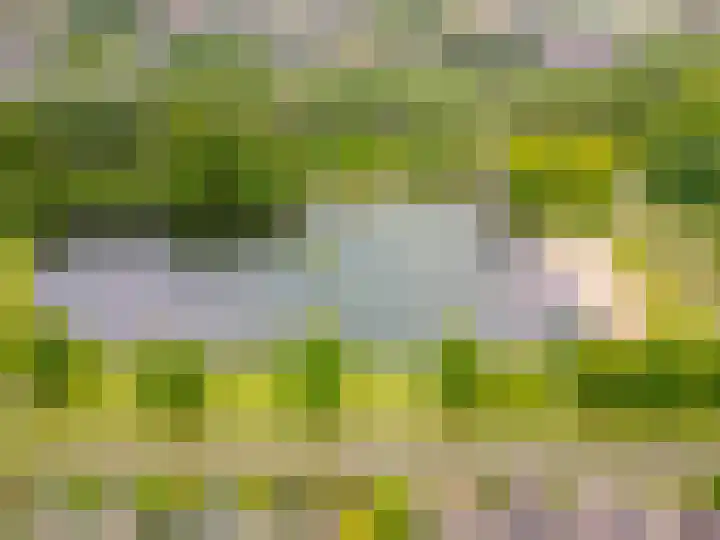 Ruitercamp 95 Houten thumbnail 44