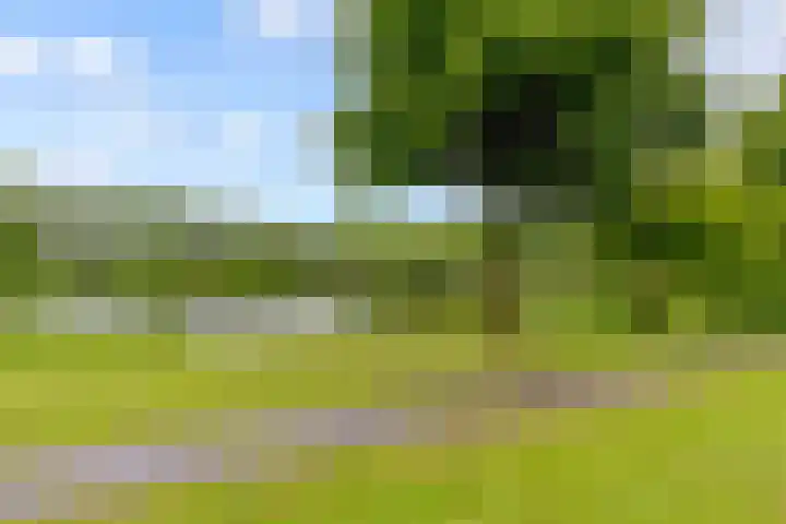 Ruitercamp 95 Houten thumbnail 46