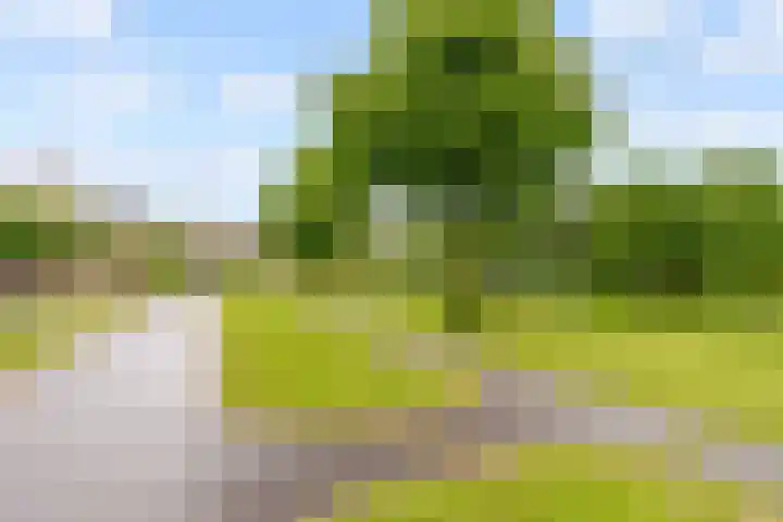 Ruitercamp 95 Houten thumbnail 48