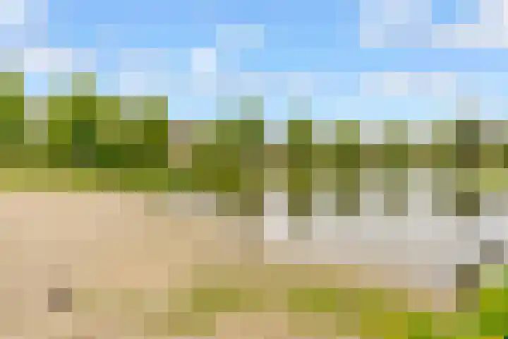 Ruitercamp 95 Houten thumbnail 51