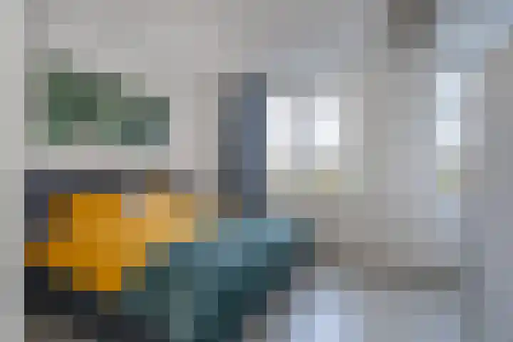 Ruiterpad 27 Den Dungen thumbnail 14