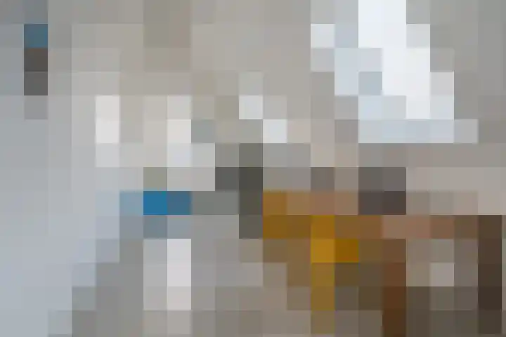 Ruiterpad 27 Den Dungen thumbnail 24