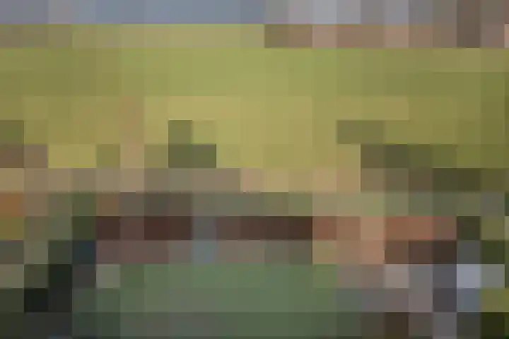 Ruiterpad 27 Den Dungen thumbnail 25
