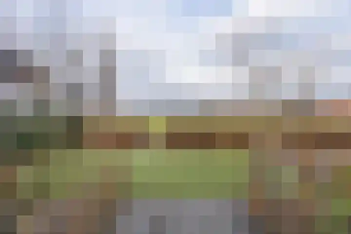 Ruiterpad 27 Den Dungen thumbnail 28