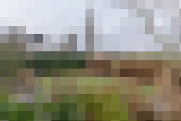 Ruiterpad 27 Den Dungen thumbnail 33