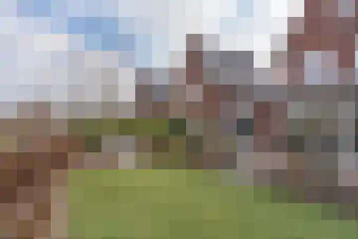 Ruiterpad 27 Den Dungen thumbnail 35