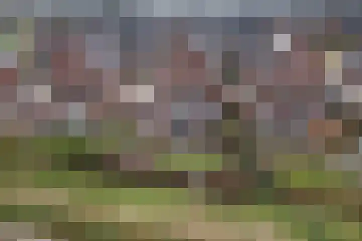 Ruiterpad 27 Den Dungen thumbnail 38