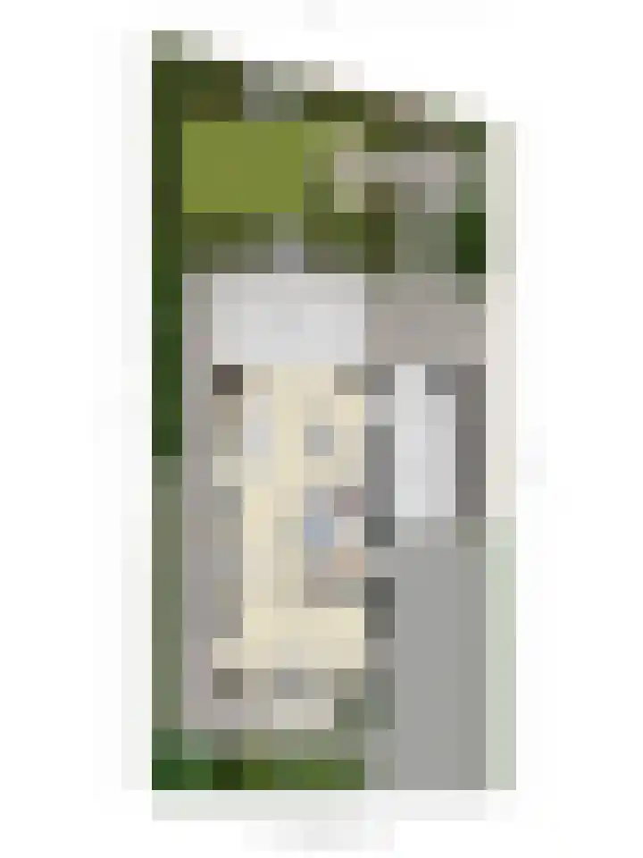 Ruiterpad 27 Den Dungen thumbnail 48