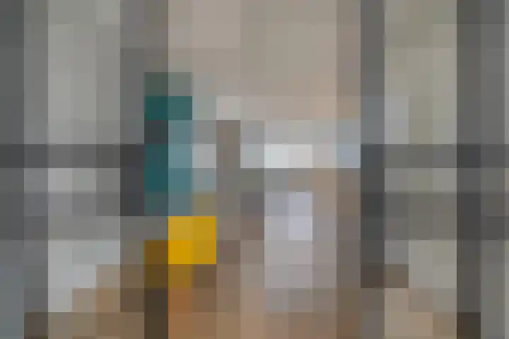 Ruiterpad 27 Den Dungen thumbnail 5