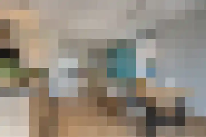 Ruiterpad 27 Den Dungen thumbnail 8