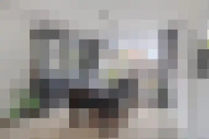 Ruiterspoor 37 Den Hout thumbnail 12