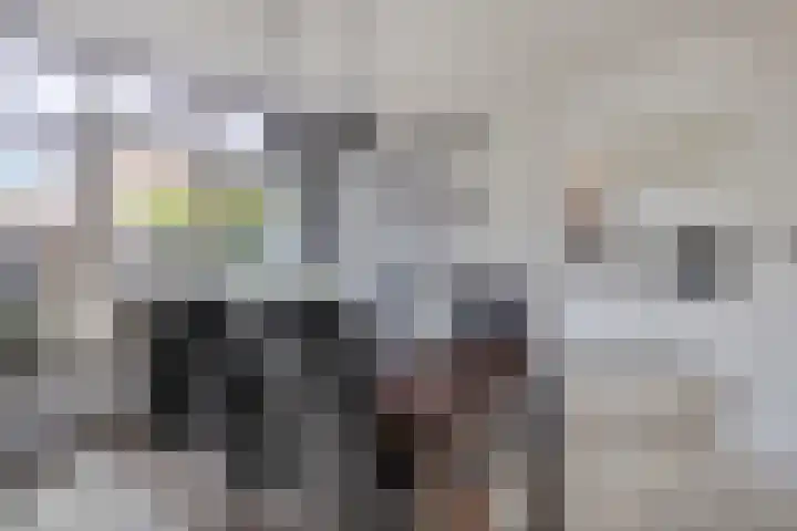 Ruiterspoor 37 Den Hout thumbnail 13