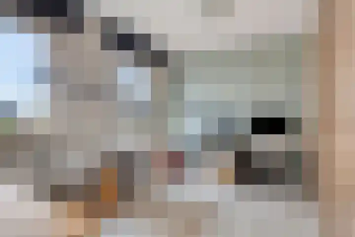 Ruiterspoor 37 Den Hout thumbnail 21