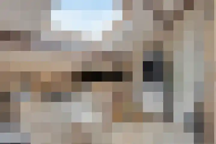 Ruiterspoor 37 Den Hout thumbnail 29