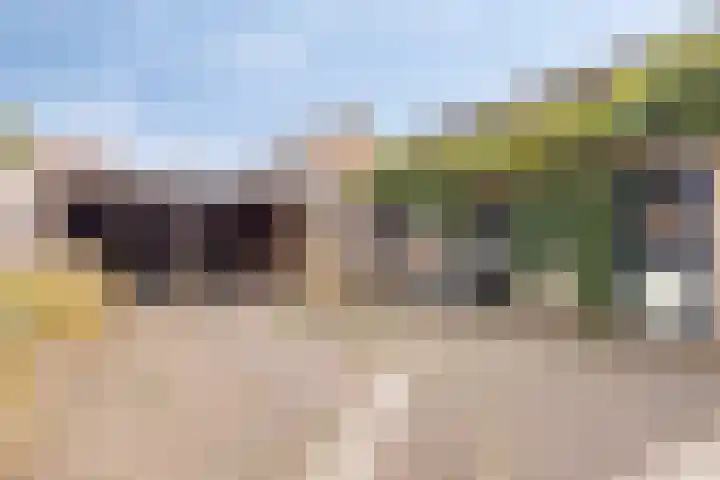 Ruiterspoor 37 Den Hout thumbnail 32