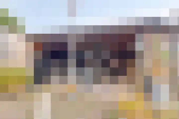 Ruiterspoor 37 Den Hout thumbnail 33