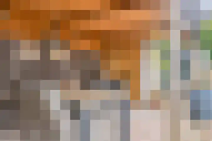 Ruiterspoor 37 Den Hout thumbnail 34
