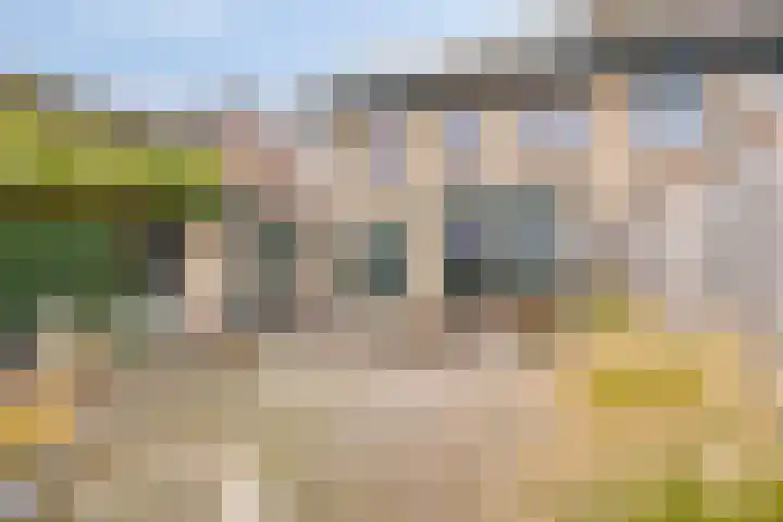 Ruiterspoor 37 Den Hout thumbnail 35
