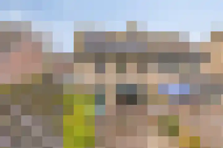 Ruiterspoor 37 Den Hout thumbnail 36
