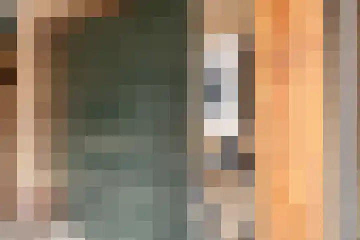 Ruiterspoor 37 Den Hout thumbnail 40