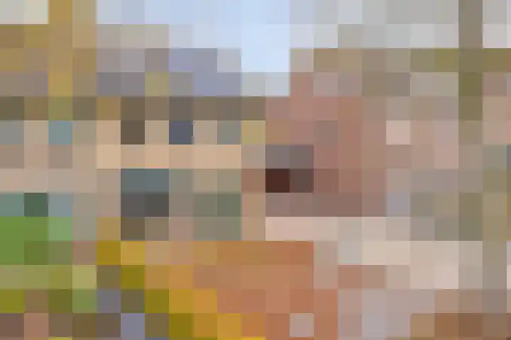 Ruiterspoor 37 Den Hout thumbnail 43