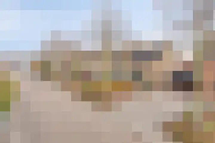 Ruiterspoor 37 Den Hout thumbnail 47