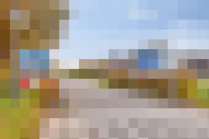 Ruiterspoor 37 Den Hout thumbnail 49
