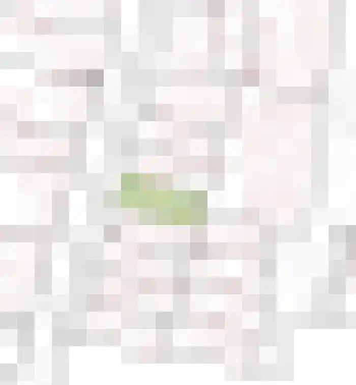 Ruiterspoor 37 Den Hout thumbnail 55