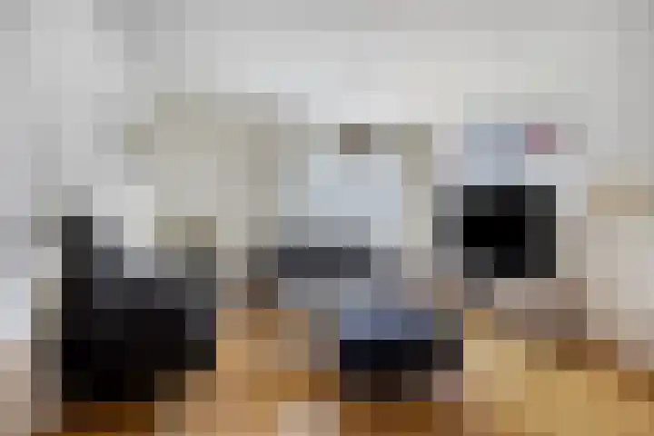 Ruiterstraat 16 Horn thumbnail 11