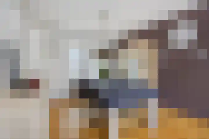 Ruiterstraat 16 Horn thumbnail 13