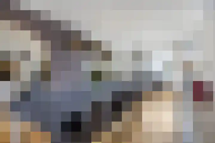 Ruiterstraat 16 Horn thumbnail 14