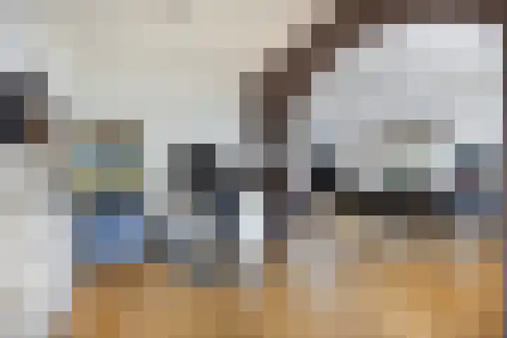 Ruiterstraat 16 Horn thumbnail 15