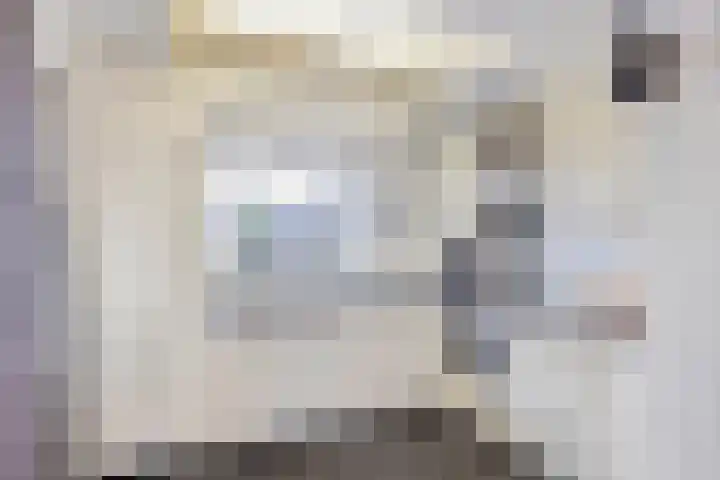 Ruiterstraat 16 Horn thumbnail 17