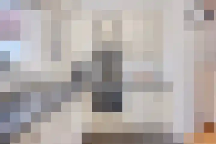 Ruiterstraat 16 Horn thumbnail 19