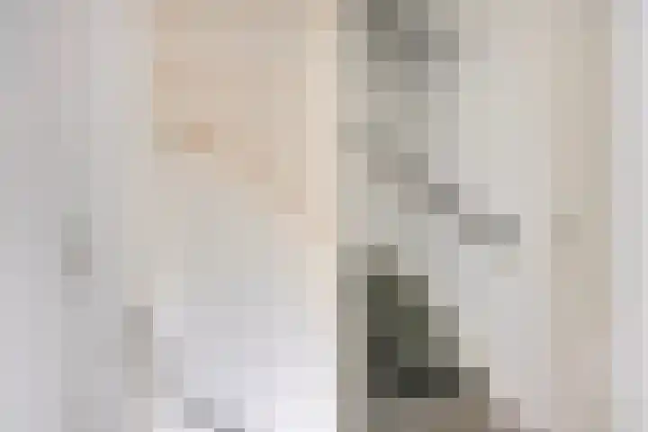 Ruiterstraat 16 Horn thumbnail 20