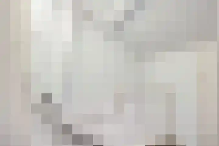 Ruiterstraat 16 Horn thumbnail 29