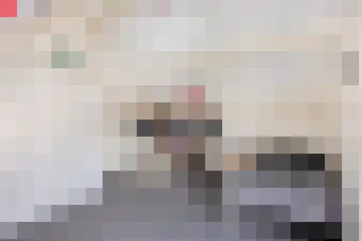 Ruiterstraat 16 Horn thumbnail 30