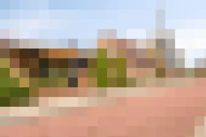 Ruiterstraat 16 Horn thumbnail 42
