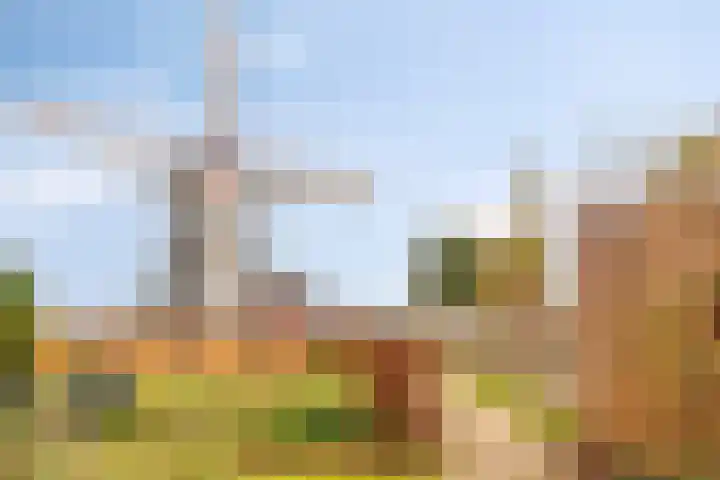 Ruiterstraat 16 Horn thumbnail 43