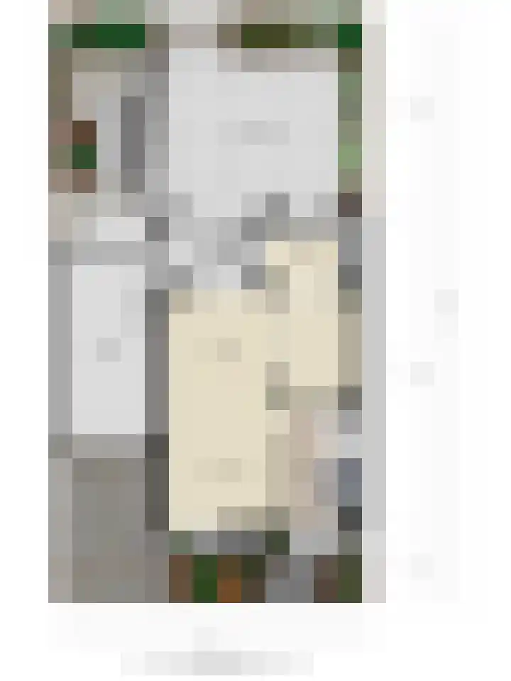 Ruiterstraat 16 Horn thumbnail 47