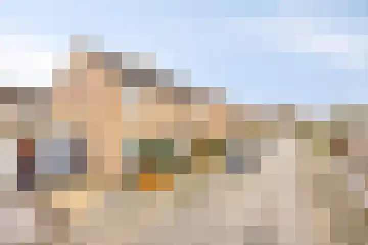 Ruiterstraat 16 Horn thumbnail 6